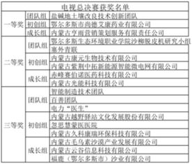 創(chuàng)新創(chuàng)業(yè)大賽結(jié)項(xiàng)表