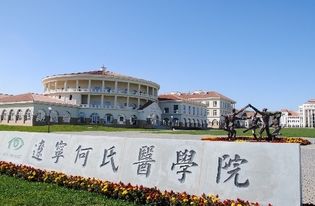 遼寧何氏醫(yī)學(xué)院創(chuàng)新創(chuàng)業(yè)獎學(xué)金