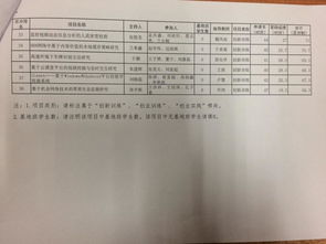 計劃書,創(chuàng)業(yè)項目,創(chuàng)新,大學生