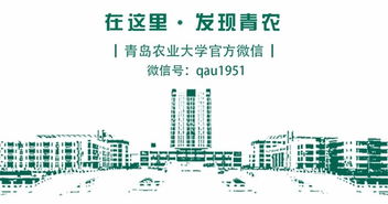 團隊,創(chuàng)新,創(chuàng)業(yè)