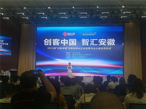 2019創(chuàng)客中國安徽省創(chuàng)新創(chuàng)業(yè)復賽