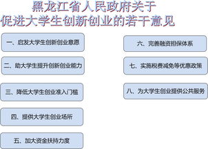 促進(jìn)大學(xué)生創(chuàng)新創(chuàng)業(yè)的意見(jiàn)