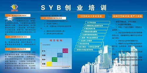 指導,創(chuàng)新,創(chuàng)業(yè),syb