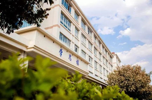 云南大學(xué),學(xué)院,校區(qū),滇池