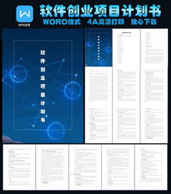 計劃書,開發(fā)軟件,創(chuàng)新,創(chuàng)業(yè)