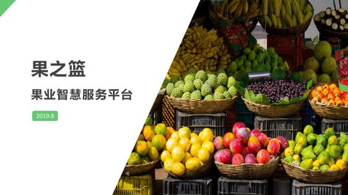 創(chuàng)新創(chuàng)業(yè)計劃書大學(xué)生直播
