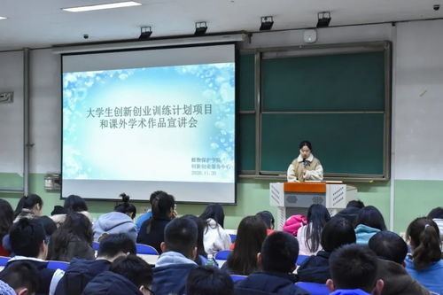 創(chuàng)新創(chuàng)業(yè)實訓(xùn)的收獲與體會,創(chuàng)業(yè)實訓(xùn)收獲和體會,創(chuàng)新創(chuàng)業(yè)實戰(zhàn)實訓(xùn)收獲與體會