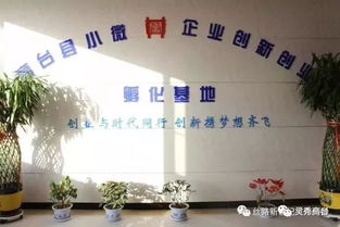 創(chuàng)新創(chuàng)業(yè)基地運(yùn)營(yíng)專員,創(chuàng)新創(chuàng)業(yè)運(yùn)營(yíng)分析,創(chuàng)新創(chuàng)業(yè)運(yùn)營(yíng)計(jì)劃