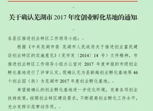 蕪湖市創(chuàng)新創(chuàng)業(yè)人才認(rèn)定補貼