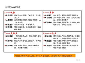 創(chuàng)新創(chuàng)業(yè)項(xiàng)目swot分析報(bào)告
