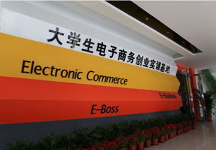 電氣專業(yè)創(chuàng)新創(chuàng)業(yè)實訓(xùn)總結(jié)