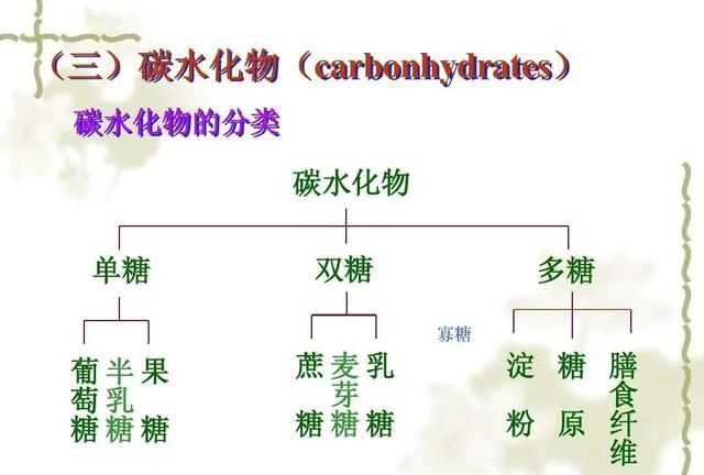 什么是碳水化合物，什么是碳水水化合物？圖3