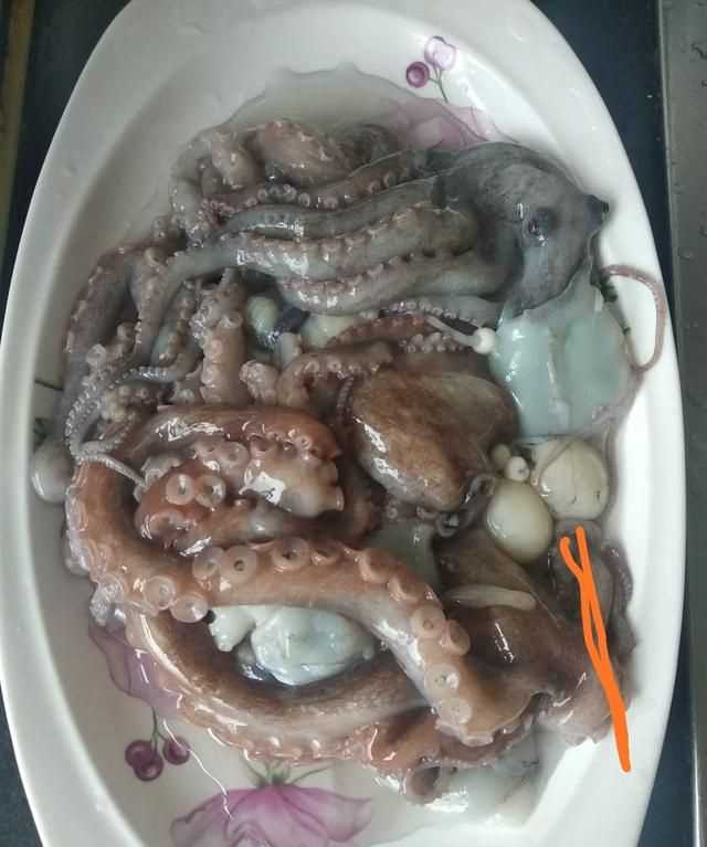 八爪魚的哪些部位不能吃
，八爪魚怎么吃好吃？哪里不能吃？圖3