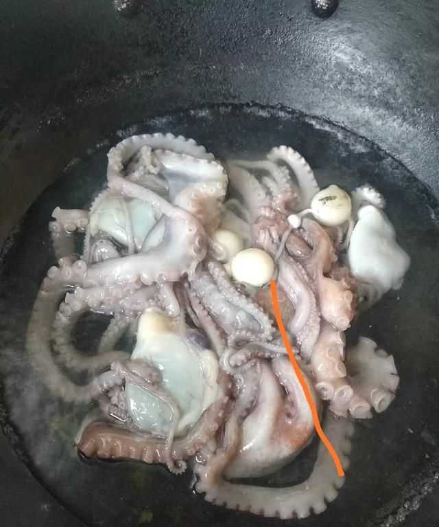 八爪魚的哪些部位不能吃
，八爪魚怎么吃好吃？哪里不能吃？圖5