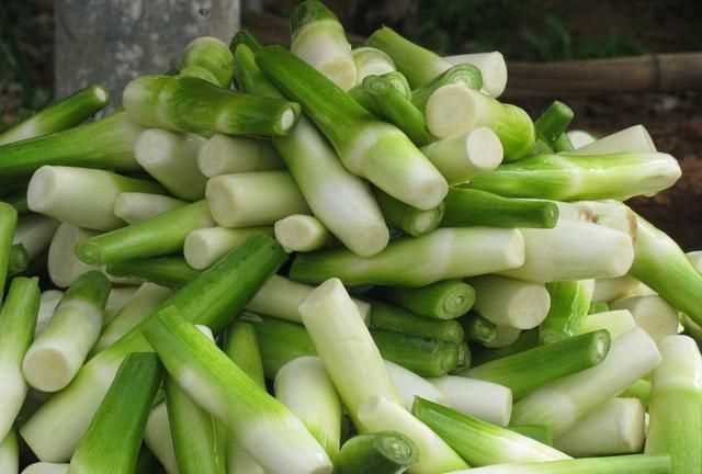 茭白發(fā)綠了還能吃嗎，茭白的葉子可以剪掉嗎？圖10