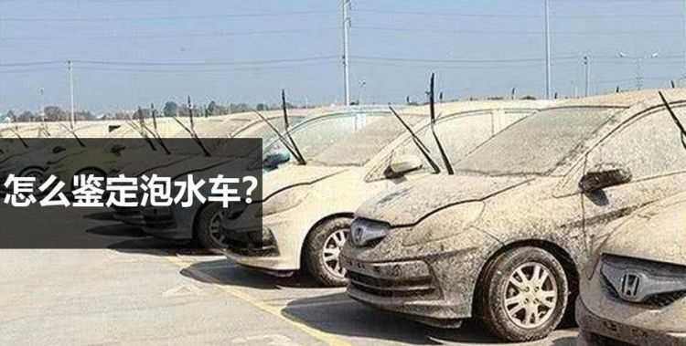 車內(nèi)潮濕有霉味怎么辦 洗車行可以弄嗎