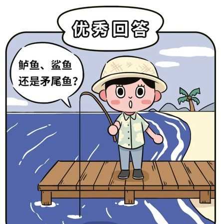 養(yǎng)魚(yú)專(zhuān)業(yè)戶網(wǎng)絡(luò)用語(yǔ)