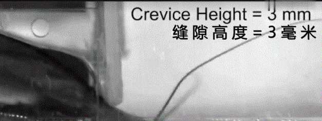蟑螂多久會(huì)餓死，怎么才能切斷家里的水源徹底讓蟑螂餓死？圖9