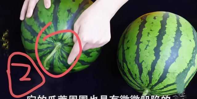 怎么區(qū)別西瓜熟沒(méi)熟?