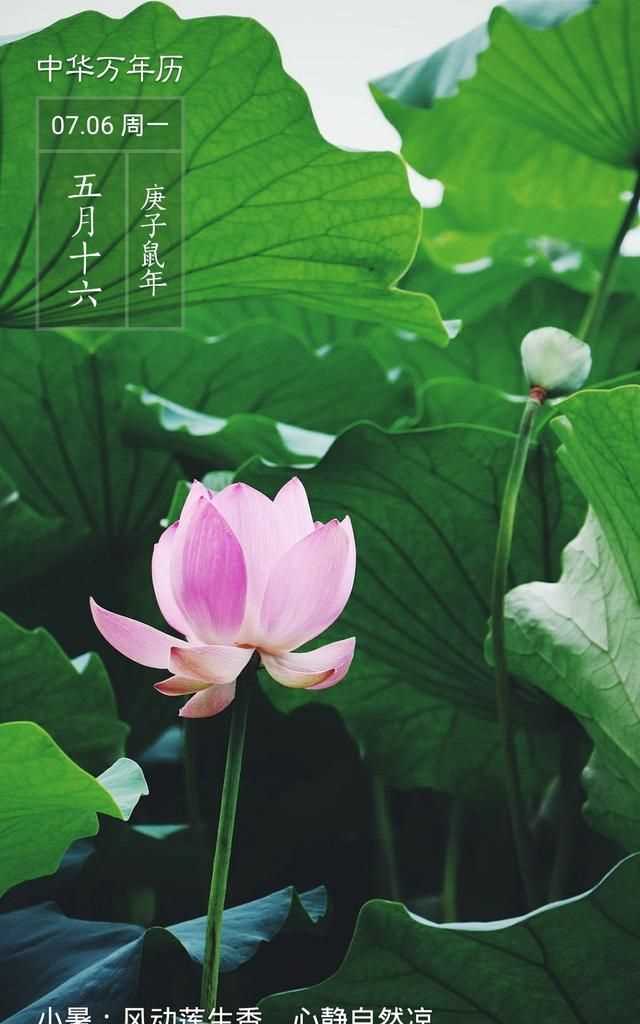 隋朝多少年，三國兩晉南北朝持續(xù)了多少年？圖3