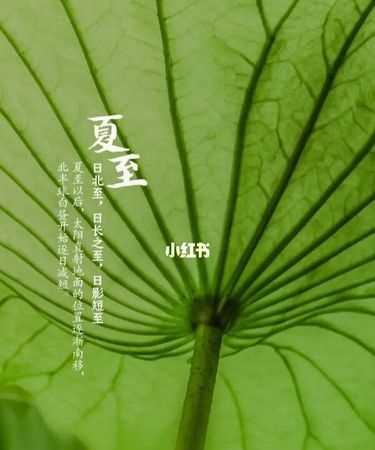 夏至是初夏的開始還是結束