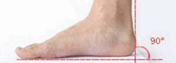 怎么確定自己腳的碼數(shù),怎么知道自己是什么星座圖10