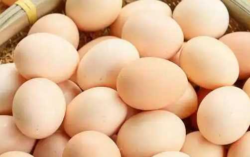 為什么美國(guó)的雞蛋是白色的,飼料的顏色有所不同嗎圖9