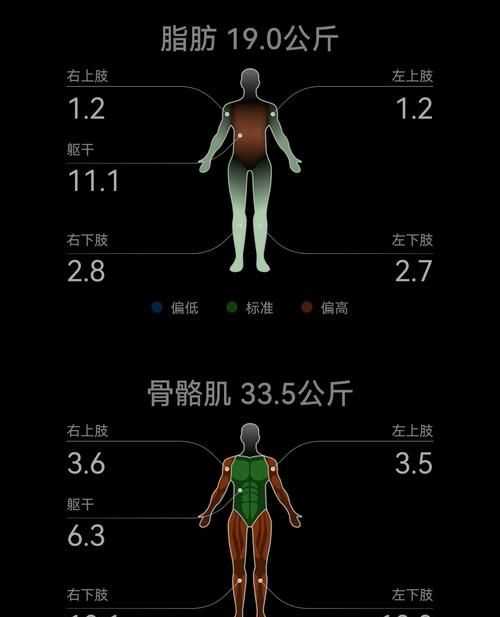 力量訓(xùn)練后體脂會(huì)下降是為什么呢