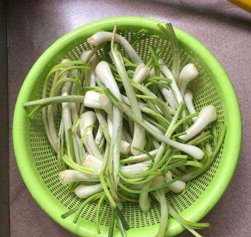 蕌頭如何腌制,農民種植水稻的過程圖6