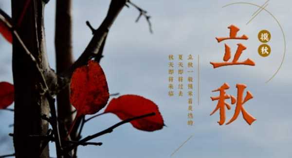 幾點立秋是早秋還是晚秋,什么時候立秋2022年的幾月份立秋圖2