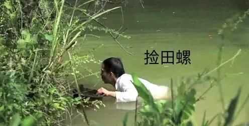 螺絲肉的功效與作用，螺絲肉怎么炒好吃？圖4
