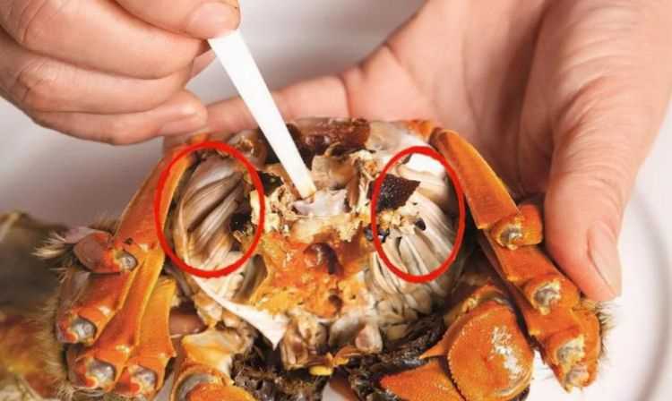 沒煮熟的螃蟹吃了會怎么樣嗎