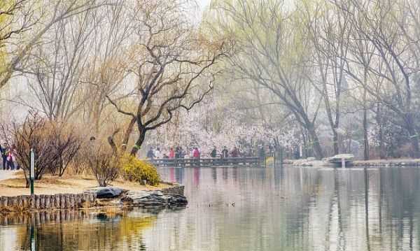 伏羲洞的由來,酉陽桃花源的太古洞就是伏羲洞嗎圖3