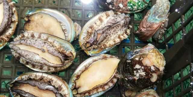 鮑魚要去內(nèi)臟嗎，鮑魚蒸地時(shí)候要去內(nèi)臟嗎？圖3