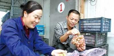 葡萄冷庫保鮮儲(chǔ)存方法,葡萄如何進(jìn)行冷庫貯藏保存圖4