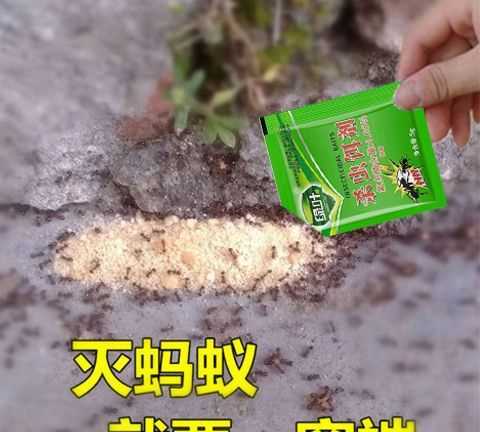 螞蟻藥撒地上多久可以掃掉