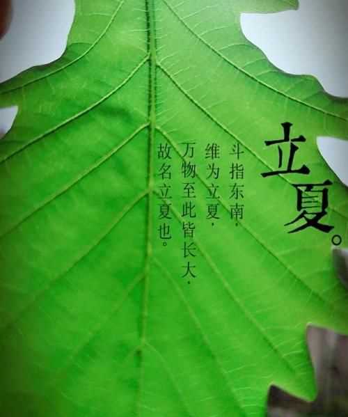 關(guān)于立夏的古詩二年級(jí)的