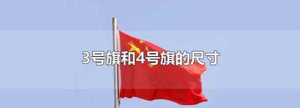 4號國旗尺寸是多少厘米長,國旗的尺寸有多少種圖2