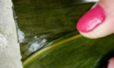蜜棗粽子的做法，蜜棗粽子的做法和包法？圖15