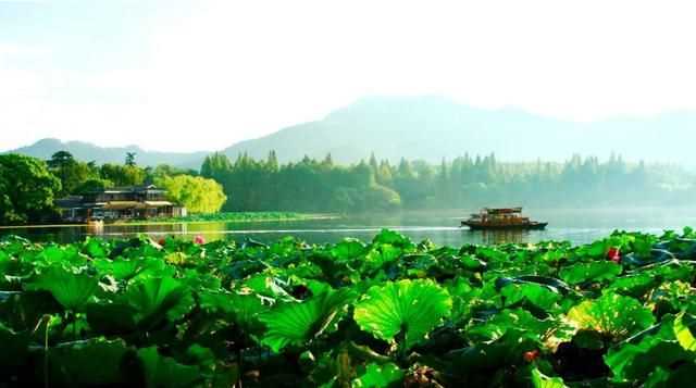 曉出凈慈寺送林子方古詩的意思，曉出凈慈寺送林子方古詩最簡單易懂的意思是什么？圖3