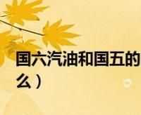 國五國六車有什么區(qū)別標(biāo)志