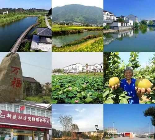 村委會和居委會有什么區(qū)別