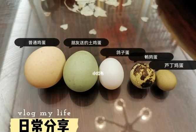 吃幾個(gè)鵪鶉蛋相當(dāng)于一個(gè)雞蛋