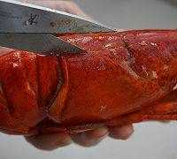 波龍怎么做好吃又簡單,波龍怎么吃圖2