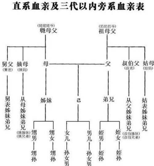 姐弟算直系親屬關系嗎