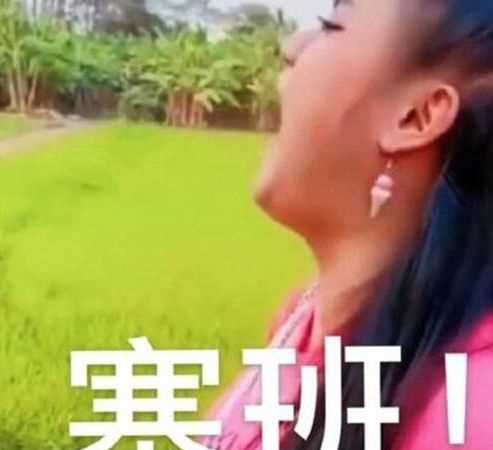 用來形容手機(jī)的：塞班是什么意思