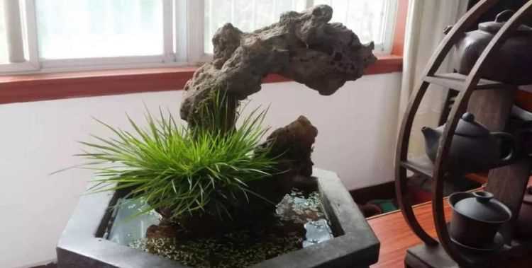 左邊一個提手旁，右邊一個昌，怎么讀怎么念