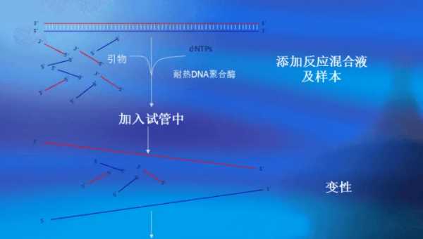 pcr是什么簡(jiǎn)稱,pcr是什么的醫(yī)學(xué)簡(jiǎn)稱圖2