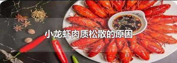 小龍蝦煮出來(lái)肉散了是什么原因,為什么做的小龍蝦肉散了圖2