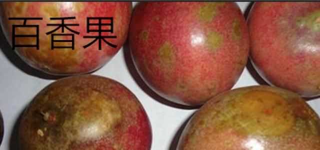 百香果和雞蛋果的區(qū)別，雞蛋果和百香果的區(qū)別？圖2